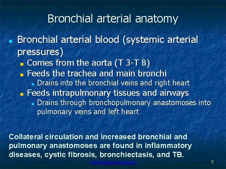 Bronchial arterial anatomy ■ Bronchial arterial blood (systemic arterial pressures) ■ ■ Comes from