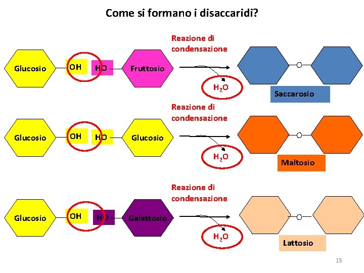 Come si formano i disaccaridi? Reazione di condensazione Glucosio OH HO O Fruttosio H