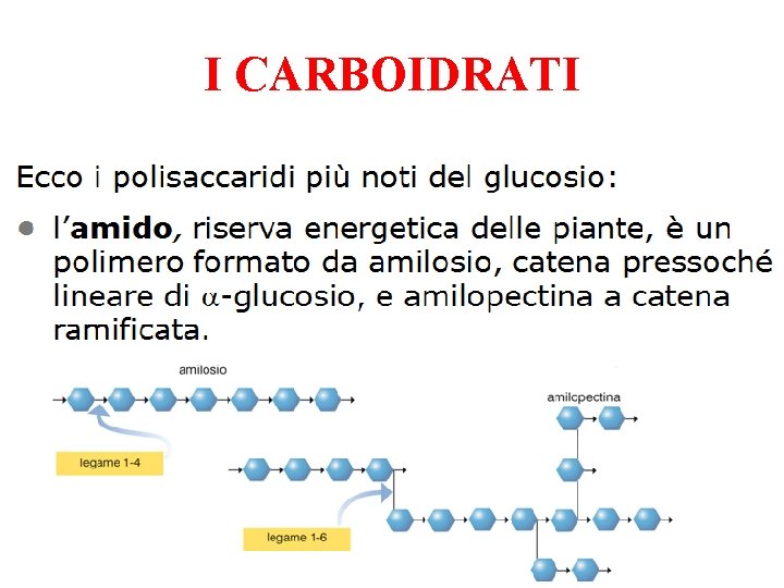 I CARBOIDRATI 