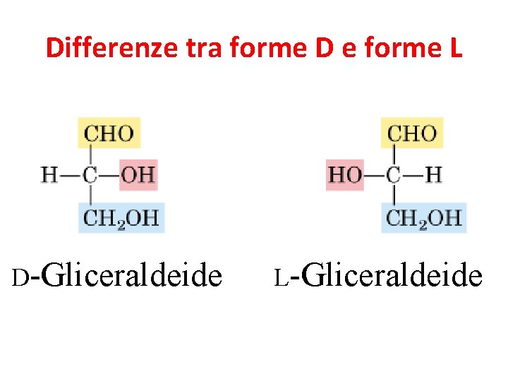 Differenze tra forme D e forme L D-Gliceraldeide L-Gliceraldeide 