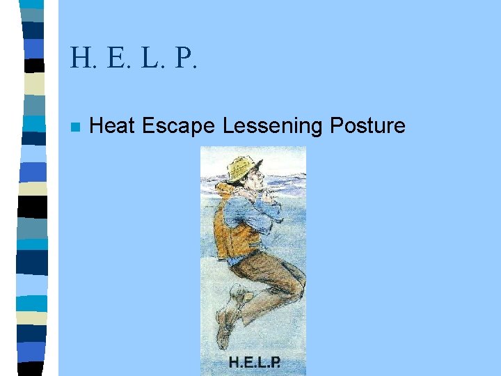 H. E. L. P. n Heat Escape Lessening Posture 