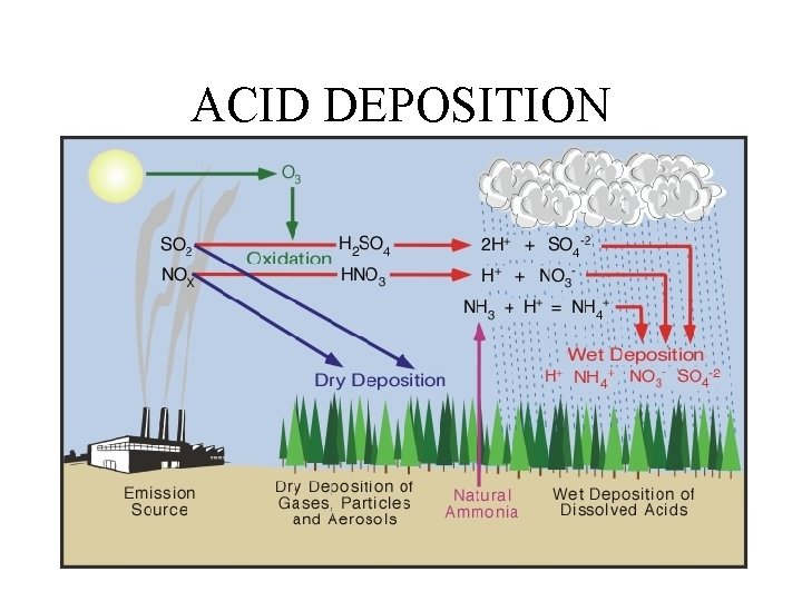 ACID DEPOSITION 