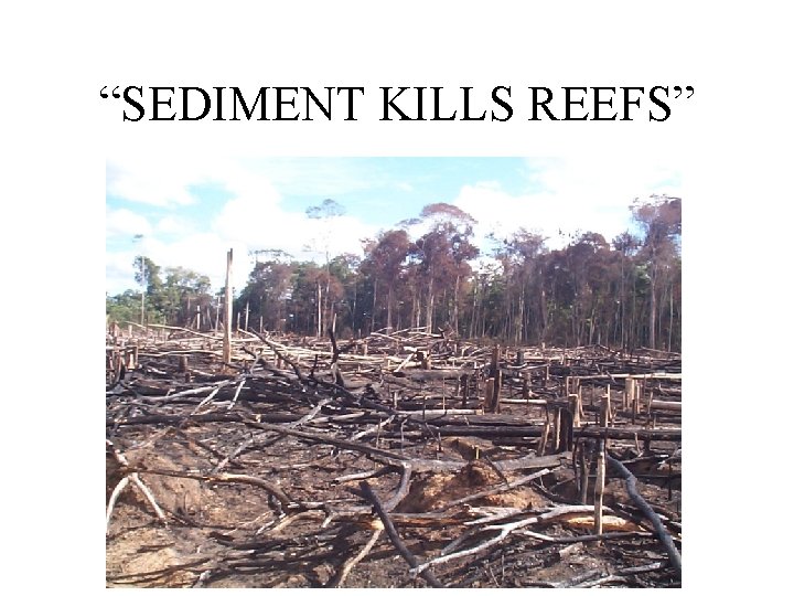 “SEDIMENT KILLS REEFS” 