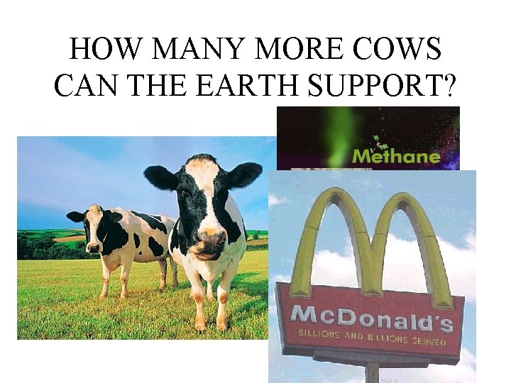 HOW MANY MORE COWS CAN THE EARTH SUPPORT? 