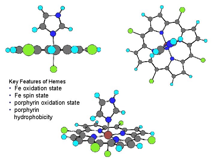 Key Features of Hemes • • Fe oxidation state Fe spin state porphyrin oxidation