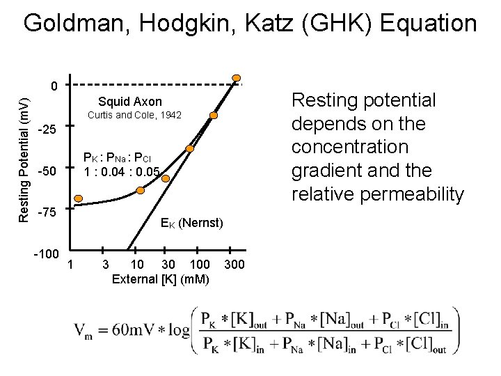 Goldman, Hodgkin, Katz (GHK) Equation Resting Potential (m. V) 0 Resting potential depends on
