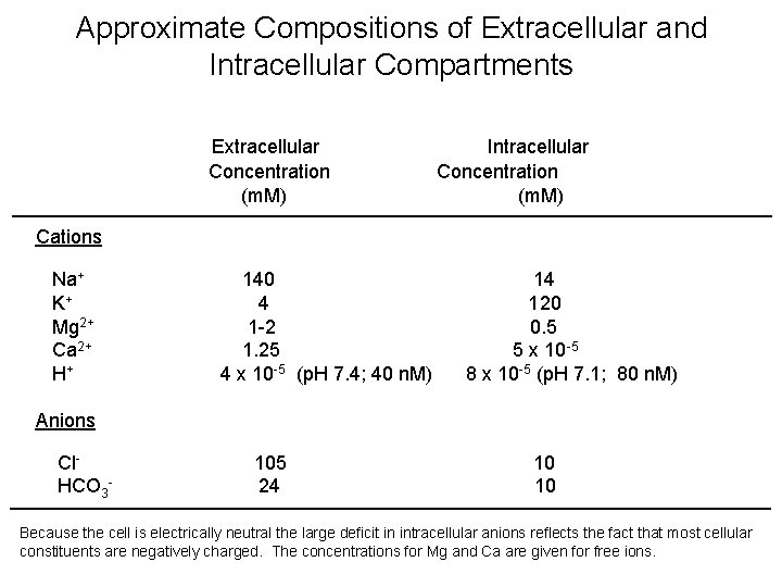 Approximate Compositions of Extracellular and Intracellular Compartments Extracellular Concentration (m. M) Intracellular Concentration (m.
