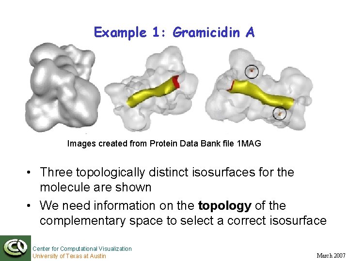 Example 1: Gramicidin A Images created from Protein Data Bank file 1 MAG •
