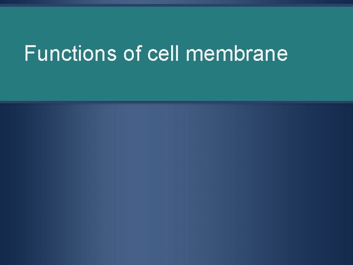 Functions of cell membrane 