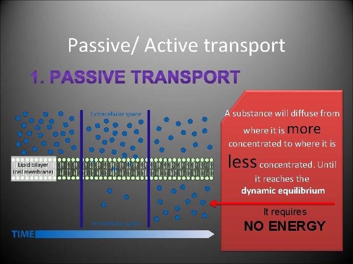 Passive/ Active transport A substance will diffuse from more where it is concentrated to