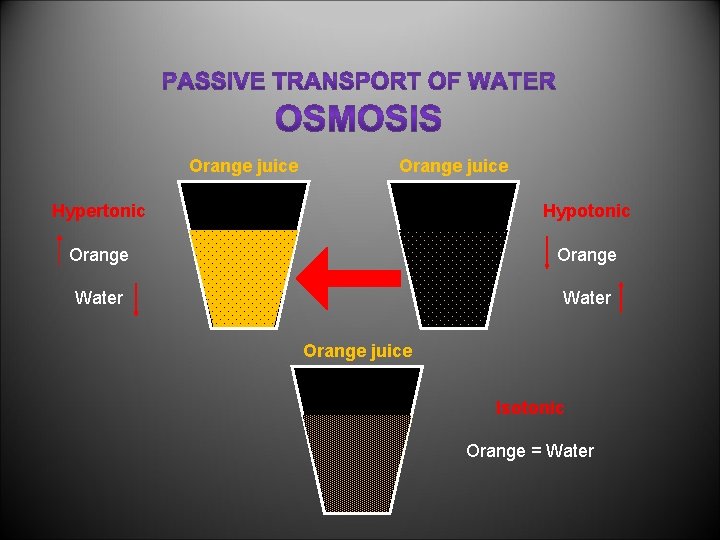 Orange juice Hypertonic Hypotonic Orange Water Orange juice Isotonic Orange = Water 