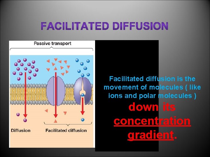 Facilitated diffusion is the movement of molecules ( like ions and polar molecules )