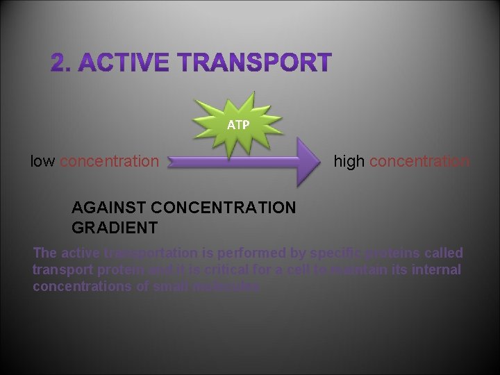 ATP low concentration high concentration AGAINST CONCENTRATION GRADIENT The active transportation is performed by