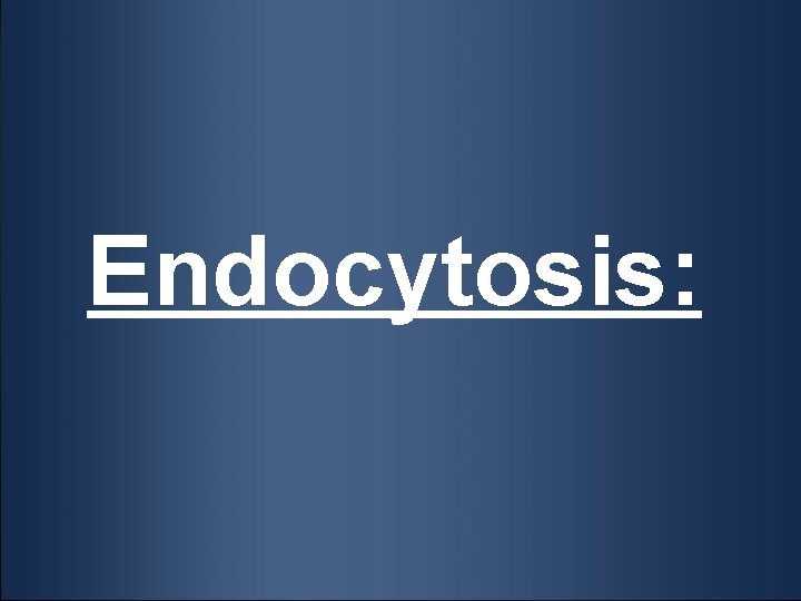 Endocytosis: 