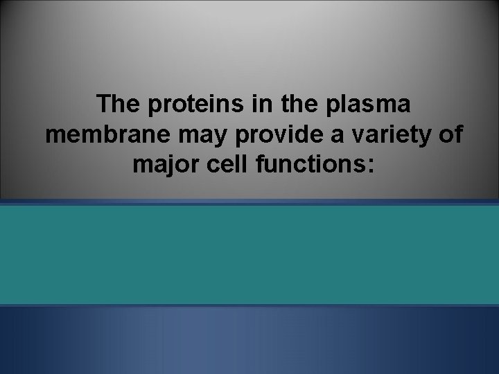 The proteins in the plasma membrane may provide a variety of major cell functions: