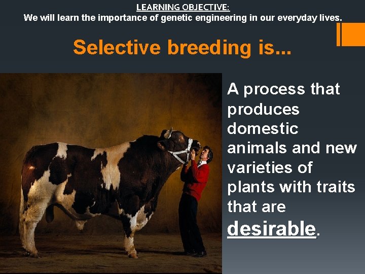 LEARNING OBJECTIVE: We will learn the importance of genetic engineering in our everyday lives.