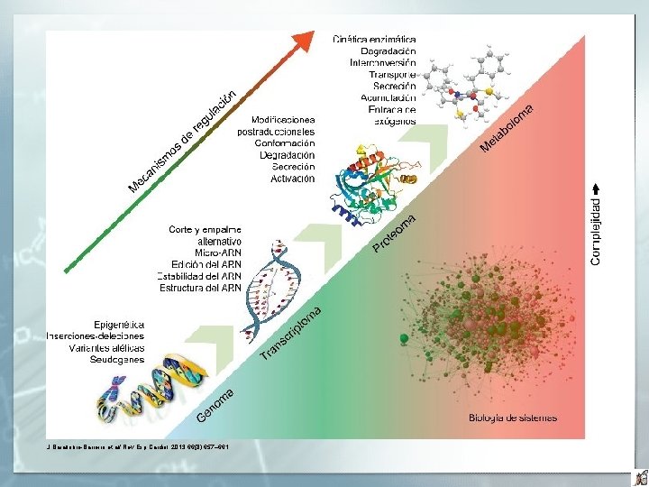 J. Barallobre-Barreiro et al/ Rev Esp Cardiol. 2013; 66(8): 657– 661 