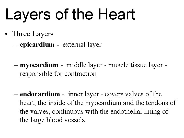 Layers of the Heart • Three Layers – epicardium - external layer – myocardium
