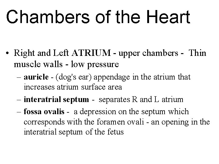 Chambers of the Heart • Right and Left ATRIUM - upper chambers - Thin