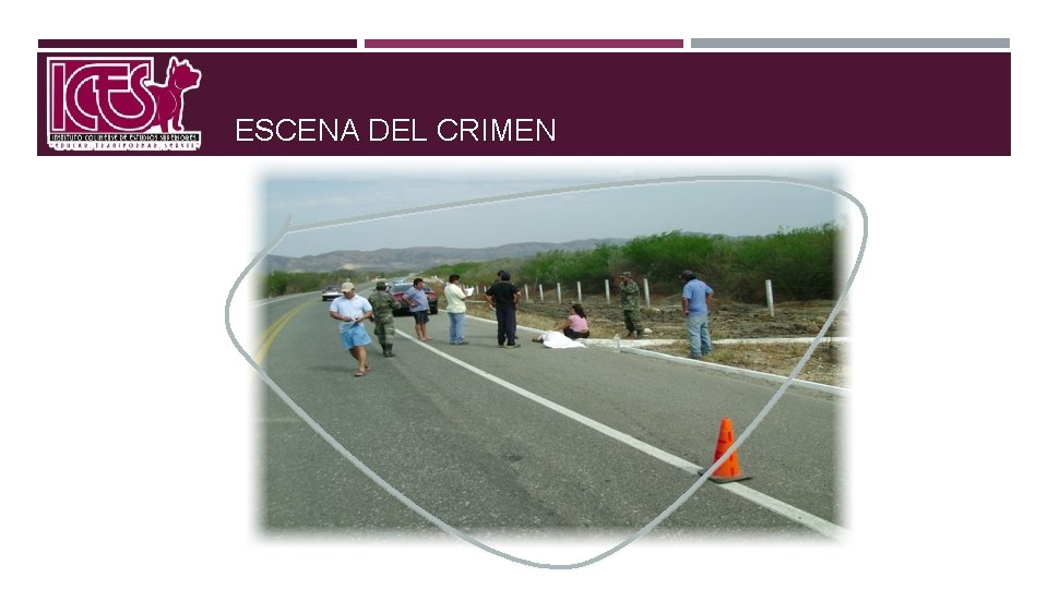 ESCENA DEL CRIMEN 