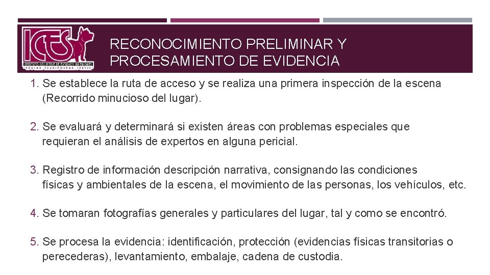 RECONOCIMIENTO PRELIMINAR Y PROCESAMIENTO DE EVIDENCIA 1. Se establece la ruta de acceso y