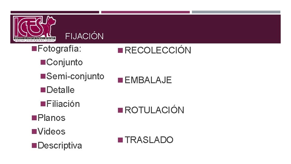 FIJACIÓN n. Fotografía: n RECOLECCIÓN n. Conjunto n. Semi-conjunto n. Detalle n. Filiación n.