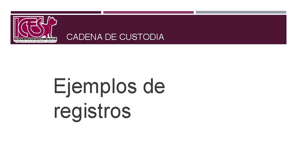 CADENA DE CUSTODIA Ejemplos de registros 