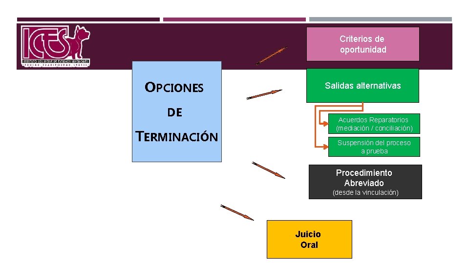 Criterios de oportunidad OPCIONES Salidas alternativas DE Acuerdos Reparatorios (mediación / conciliación) TERMINACIÓN Suspensión