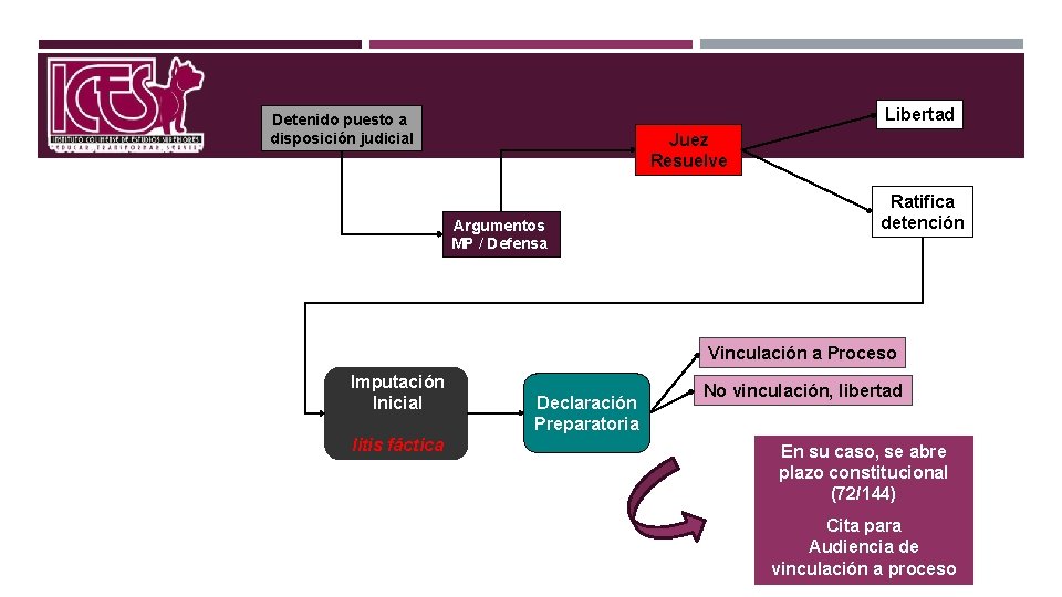 Libertad Detenido puesto a disposición judicial Juez Resuelve Argumentos MP / Defensa Ratifica detención