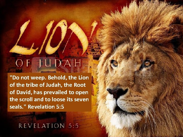 "Do not weep. Behold, the Lion of the tribe of Judah, the Root of "Do not weep. Behold, the Lion of the tribe of Judah, the Root of