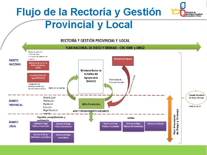 Flujo de la Rectoría y Gestión Provincial y Local 