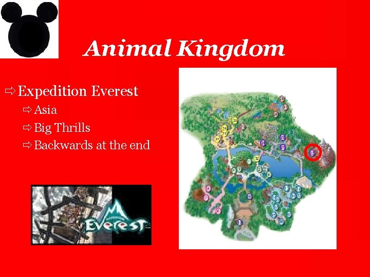 Animal Kingdom ð Expedition Everest ðAsia ðBig Thrills ðBackwards at the end 