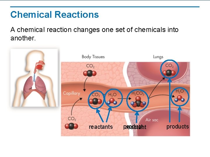 Chemical Reactions A chemical reaction changes one set of chemicals into another. reactants product