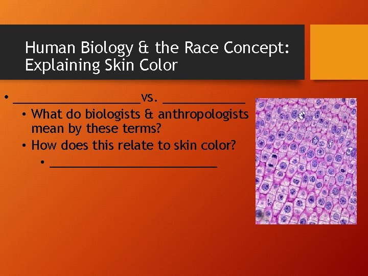 Human Biology & the Race Concept: Explaining Skin Color • _________vs. ______ • What
