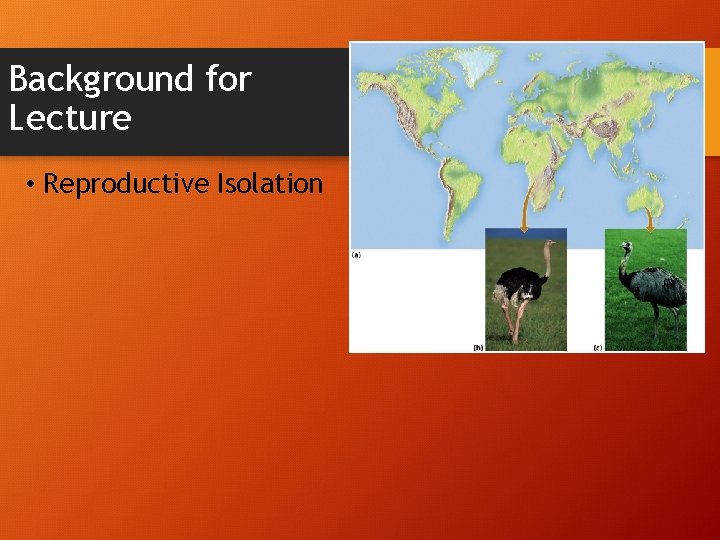 Background for Lecture • Reproductive Isolation 