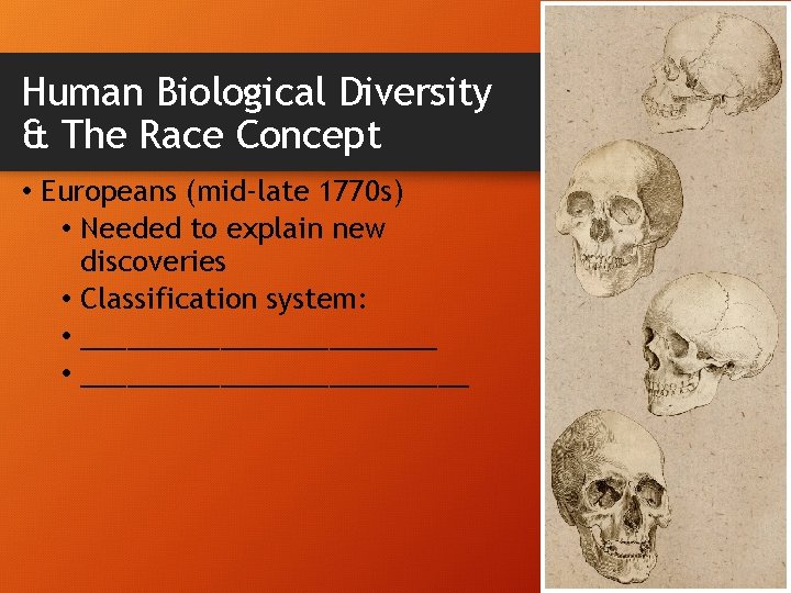 Human Biological Diversity & The Race Concept • Europeans (mid-late 1770 s) • Needed