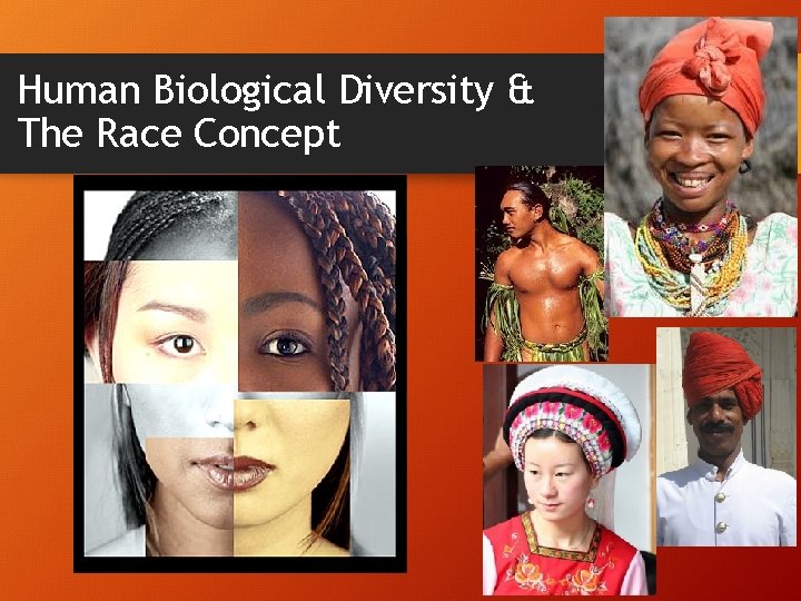 Human Biological Diversity & The Race Concept 