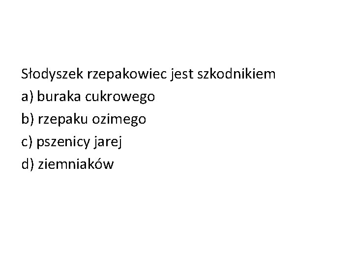 Słodyszek rzepakowiec jest szkodnikiem a) buraka cukrowego b) rzepaku ozimego c) pszenicy jarej d)