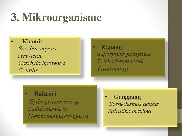 3. Mikroorganisme • Khamir Saccharomyces cerevisiae Candyda lipolytica C. utilis • Bakteri Hydrogenomonas sp