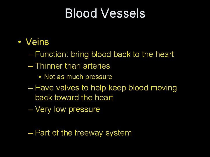 Blood Vessels • Veins – Function: bring blood back to the heart – Thinner