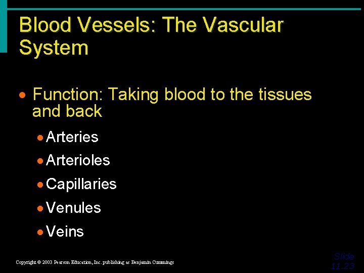 Blood Vessels: The Vascular System · Function: Taking blood to the tissues and back