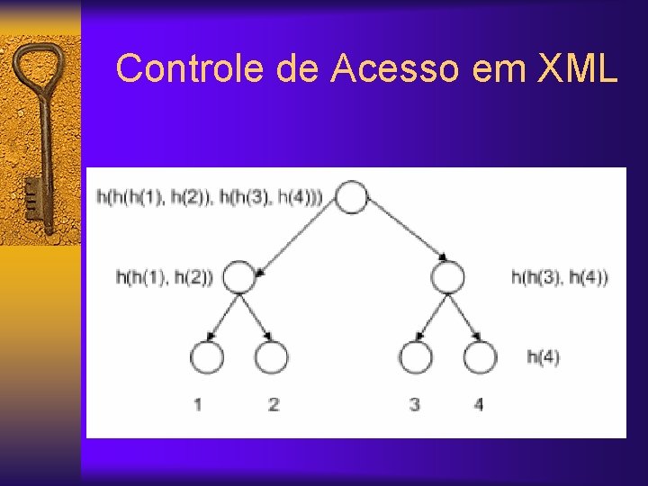 Controle de Acesso em XML 