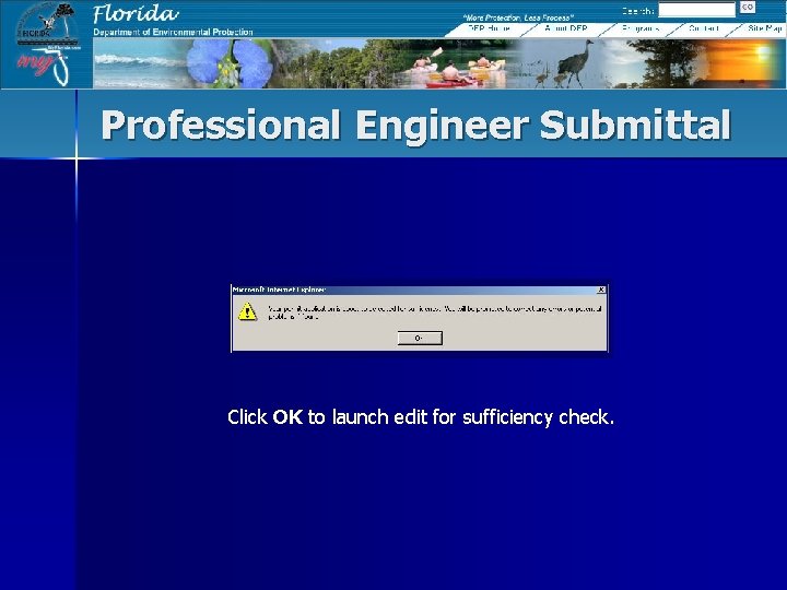 Professional Engineer Submittal Click OK to launch edit for sufficiency check. 