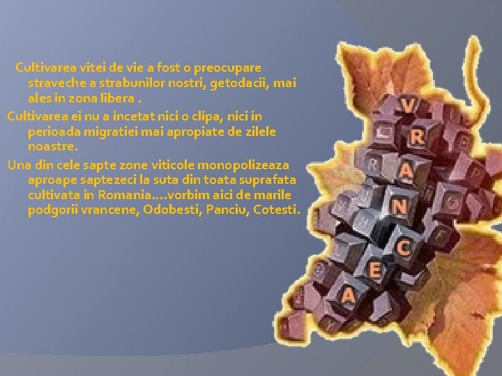 Cultivarea vitei de vie a fost o preocupare straveche a strabunilor nostri, getodacii, mai