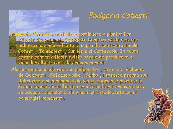 Podgoria Cotesti constituie o continuare a plantatiilor viticole din podgoria Odobesti, beneficiind de resurse