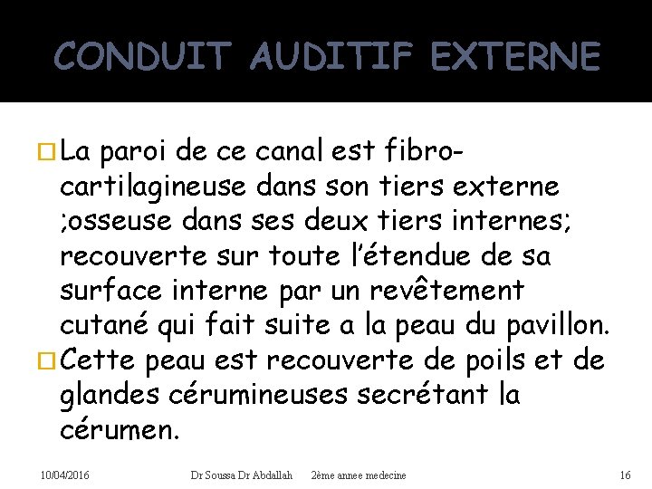 CONDUIT AUDITIF EXTERNE La paroi de ce canal est fibrocartilagineuse dans son tiers externe