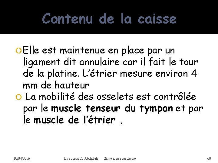 Contenu de la caisse Elle est maintenue en place par un ligament dit annulaire