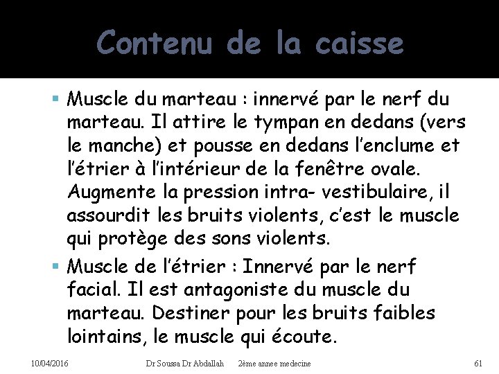 Contenu de la caisse Muscle du marteau : innervé par le nerf du marteau.