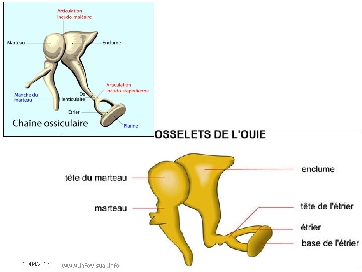 10/04/2016 Dr Soussa Dr Abdallah 2ème annee medecine 64 