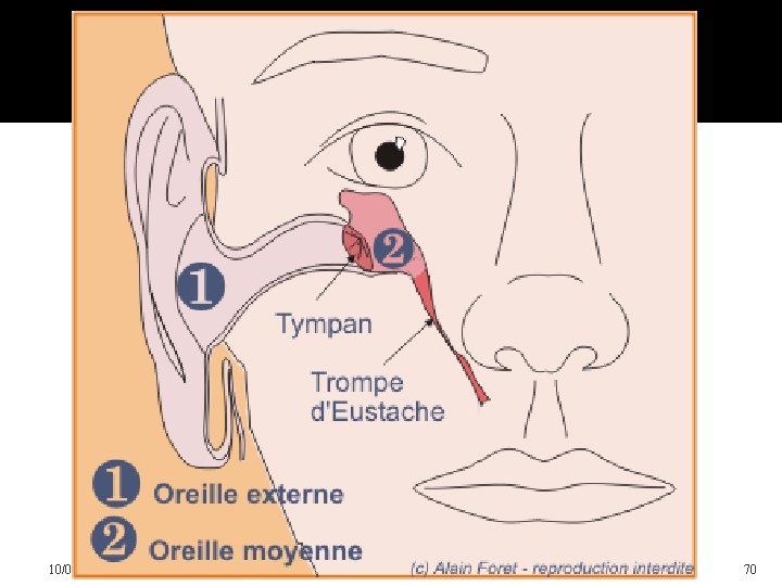 10/04/2016 Dr Soussa Dr Abdallah 2ème annee medecine 70 